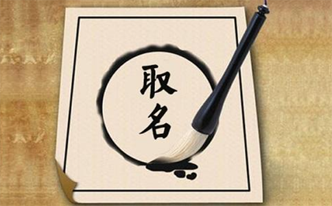 鄭州注冊(cè)公司營(yíng)業(yè)執(zhí)照字號(hào)不能是拼音嗎？