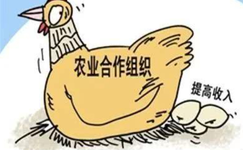 鄭州農民專業(yè)合作社設立登記目錄